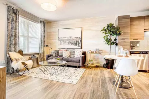 1305 Central Ave, Charlotte, NC 28205 photo 5