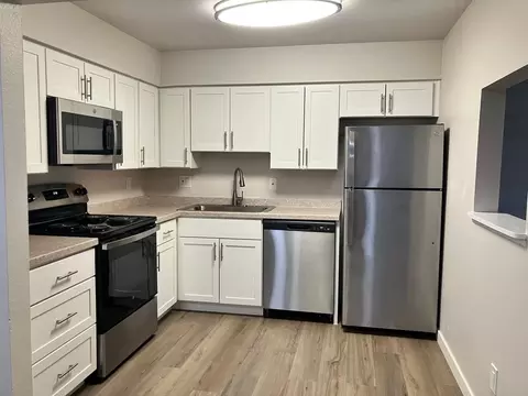 5379 Balsam St, Arvada, CO 80002 photo 46