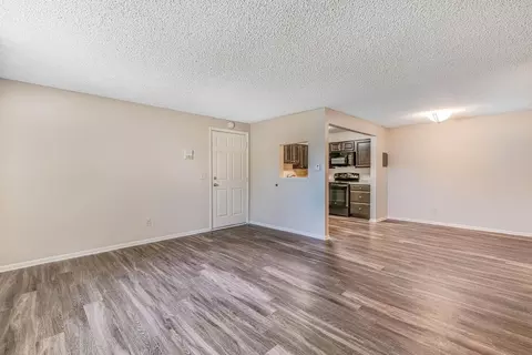 5379 Balsam St, Arvada, CO 80002 photo 44