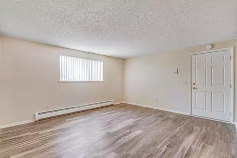 5379 Balsam St, Arvada, CO 80002 photo 45