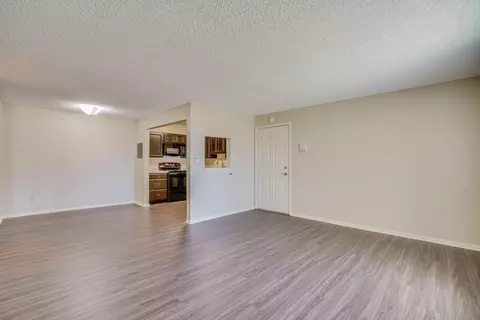 5379 Balsam St, Arvada, CO 80002 photo 41