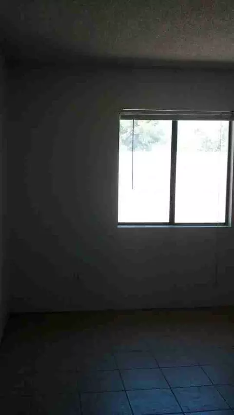 3361 N Mountain Ave, Tucson, AZ 85719 photo 12