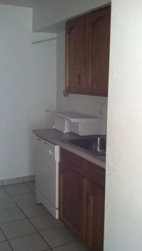 3361 N Mountain Ave, Tucson, AZ 85719 photo 4