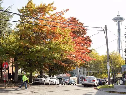 701 5th Ave N, Seattle, WA 98109 photo 37