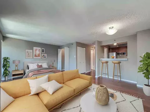 441 Erie St, Chicago, IL 60611 photo 45