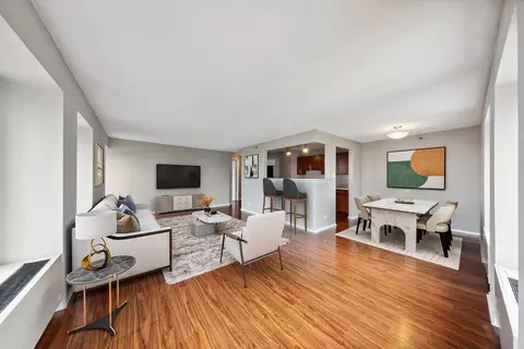 441 Erie St, Chicago, IL 60611 photo 35