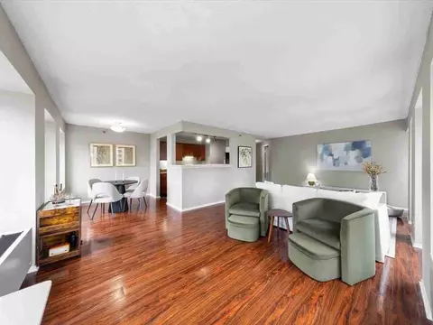 441 Erie St, Chicago, IL 60611 photo 26