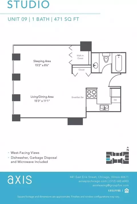 441 Erie St, Chicago, IL 60611 photo 8