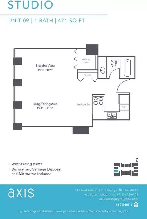 441 Erie St, Chicago, IL 60611 photo 11