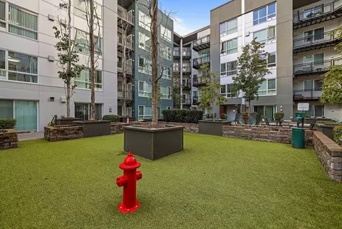 10688 NE 10th St, Bellevue, WA 98004 photo 6