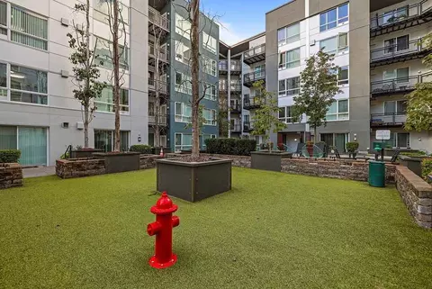 10688 NE 10th St, Bellevue, WA 98004 photo 6