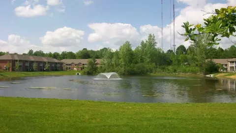 7676 Horsetail Dr, Indianapolis, IN 46260 photo 17