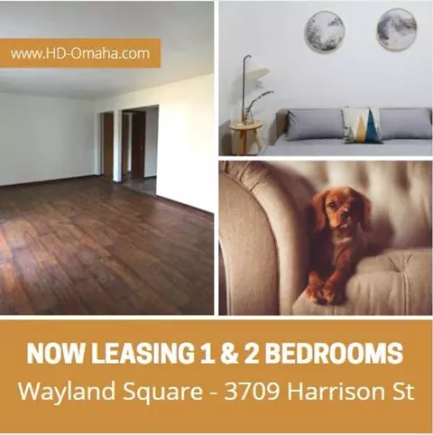 3709 Harrison St, Bellevue, NE 68147 photo 19