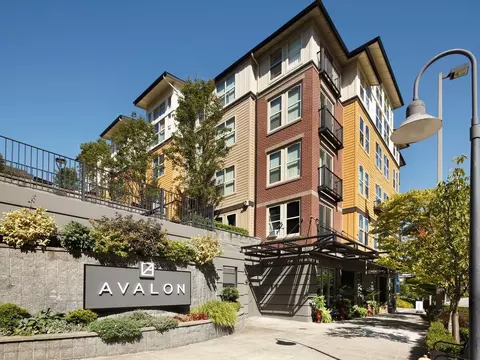 11000 NE 10th St, Bellevue, WA 98004 photo 30