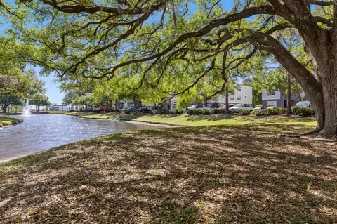 8210 Solano Bay Loop, Tampa, FL 33635 photo 41