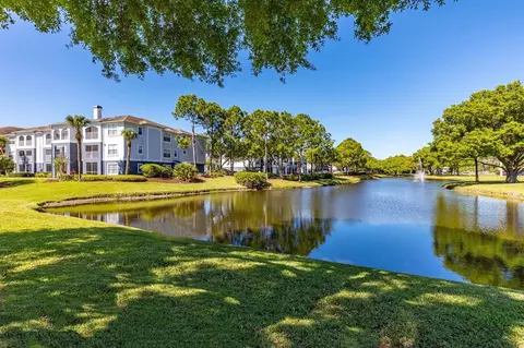 8210 Solano Bay Loop, Tampa, FL 33635 photo 32