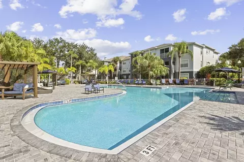 8210 Solano Bay Loop, Tampa, FL 33635 photo 25