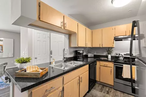 8210 Solano Bay Loop, Tampa, FL 33635 photo 8