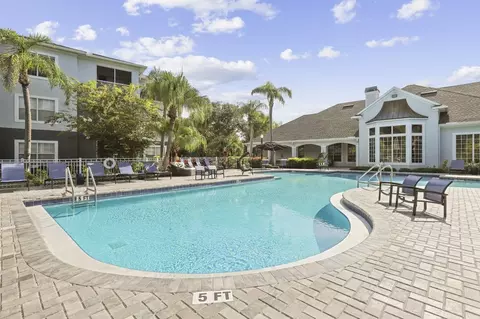 8210 Solano Bay Loop, Tampa, FL 33635 photo 27