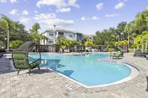8210 Solano Bay Loop, Tampa, FL 33635 photo 19