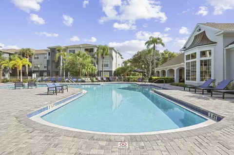8210 Solano Bay Loop, Tampa, FL 33635 photo 30