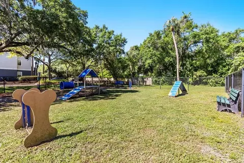 8210 Solano Bay Loop, Tampa, FL 33635 photo 39