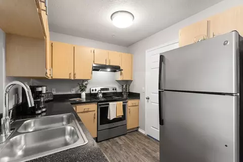 8210 Solano Bay Loop, Tampa, FL 33635 photo 7