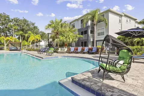 8210 Solano Bay Loop, Tampa, FL 33635 photo 28