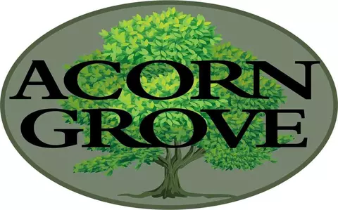 420 Acorn Grove Ln, Chesapeake, VA 23320