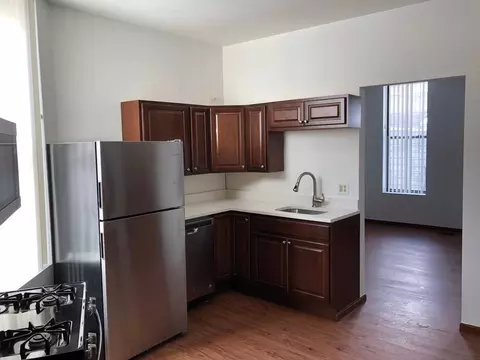 1642 S Allport St, Chicago, IL 60608