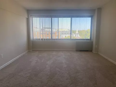 816 Easley St, Silver Spring, MD 20910 photo 20