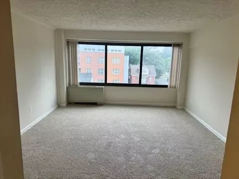 816 Easley St, Silver Spring, MD 20910 photo 19
