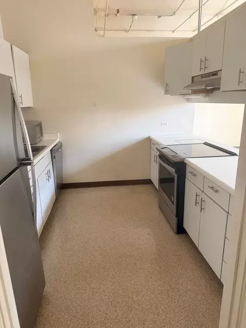 731 S Plymouth Ct, Chicago, IL 60605