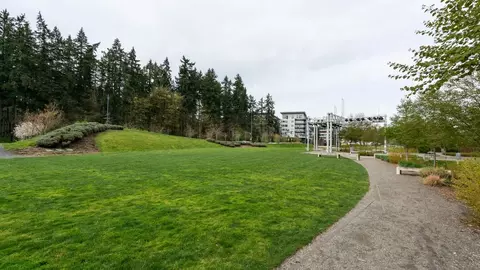 16175 Cleveland St, Redmond, WA 98052 photo 30
