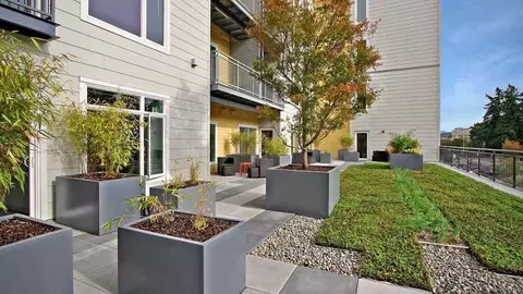 16175 Cleveland St, Redmond, WA 98052 photo 29