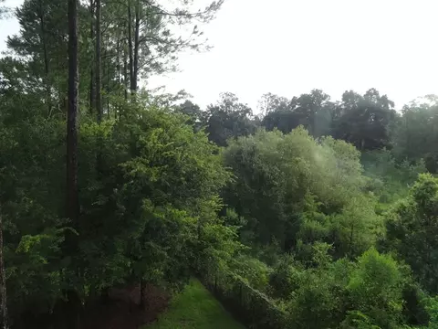 505 SW 72nd Way, Gainesville, FL 32607 photo 13