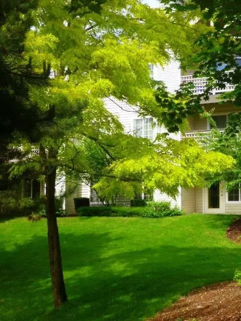 22435 SE 240th St, Maple Valley, WA 98038 photo 11