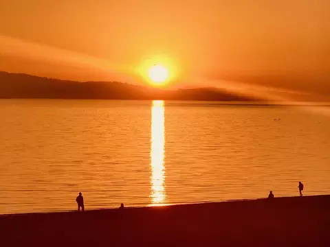 1801 Shore Line Dr, Alameda, CA 94501