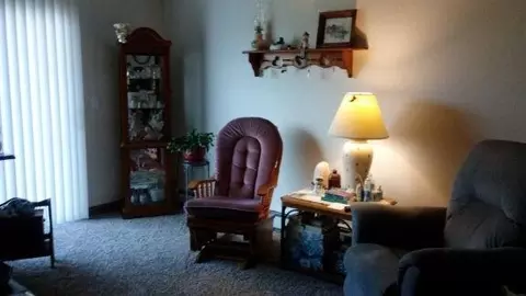 350 N Main St, Onsted, MI 49265 photo 8