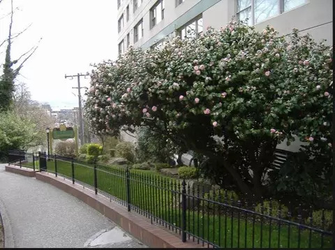 101 W Olympic Pl, Seattle, WA 98119
