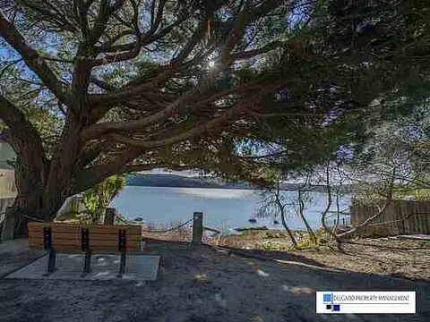 917 1st St, Benicia, CA 94510 photo 29