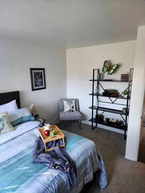 1110 Petree St, El Cajon, CA 92020 photo 41