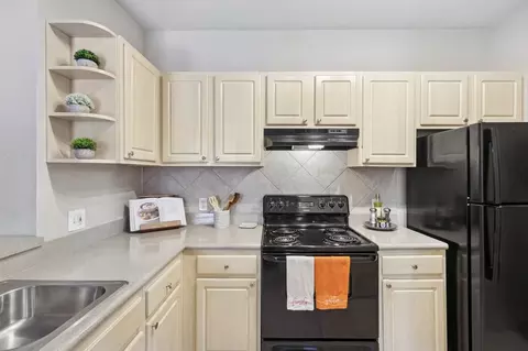 10246 Douglas Oaks Cir, Tampa, FL 33610 photo 6