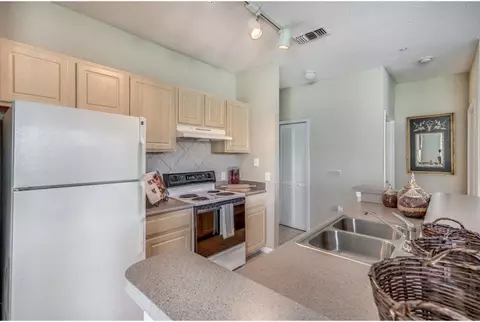 10246 Douglas Oaks Cir, Tampa, FL 33610 photo 6