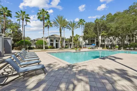10246 Douglas Oaks Cir, Tampa, FL 33610 photo 20