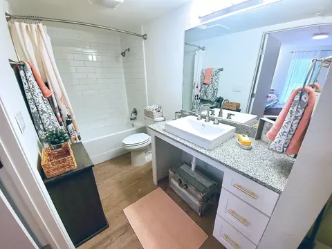 824 Camino La Costa, Austin, TX 78752 photo 29
