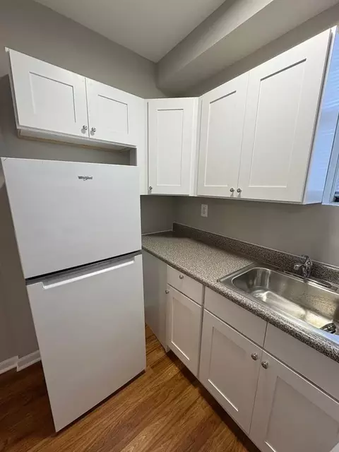 238 N Pine Ave, Chicago, IL 60644 photo 7