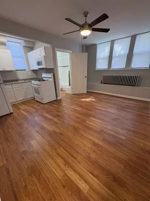 238 N Pine Ave, Chicago, IL 60644