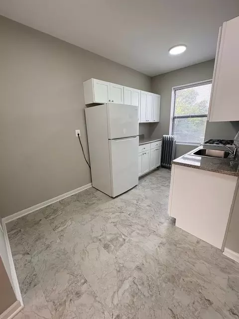 238 N Pine Ave, Chicago, IL 60644 photo 12