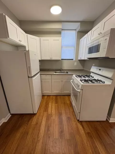 238 N Pine Ave, Chicago, IL 60644 photo 3